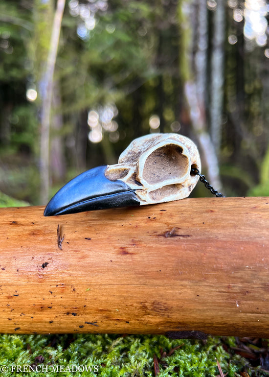 Raven Skull Necklace