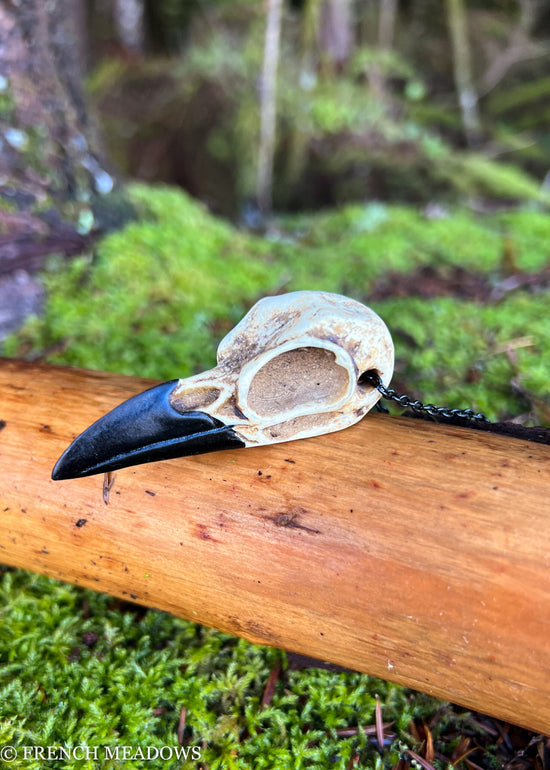 Raven Skull Necklace