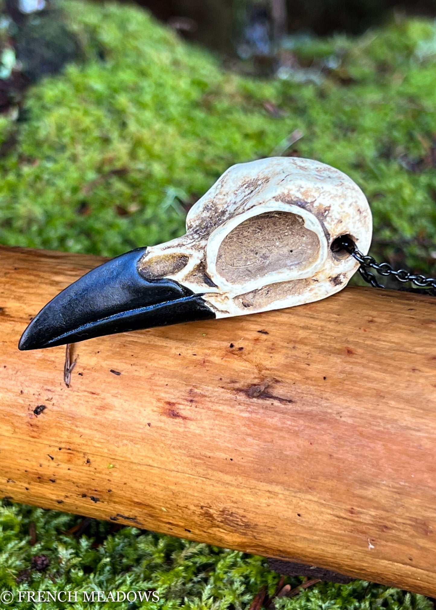Raven skull necklace discount