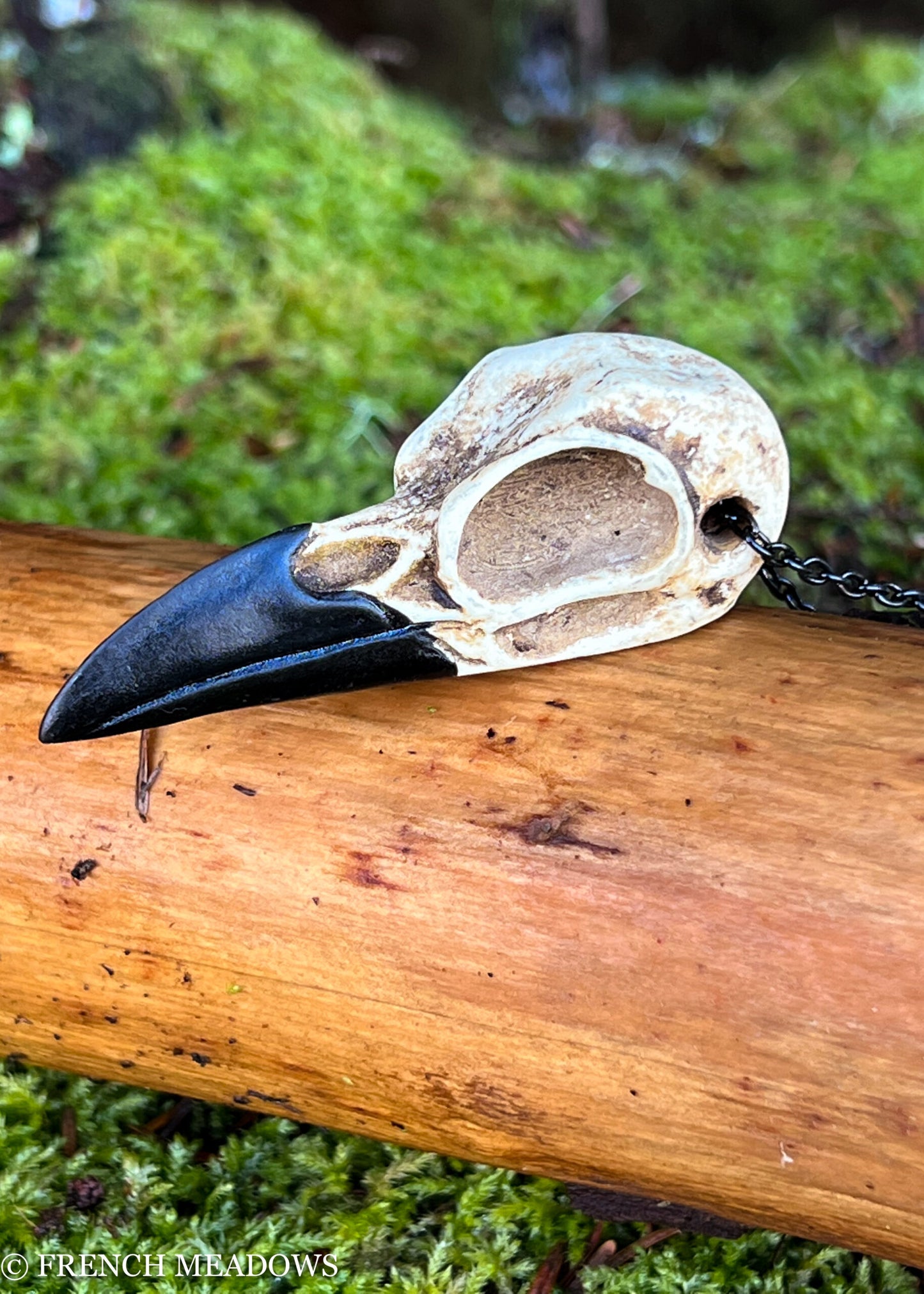 Load image into Gallery viewer, Raven Skull Necklace
