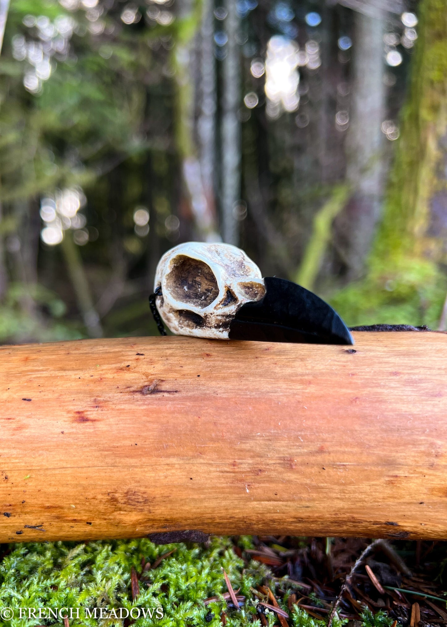 Load image into Gallery viewer, Raven Skull Necklace
